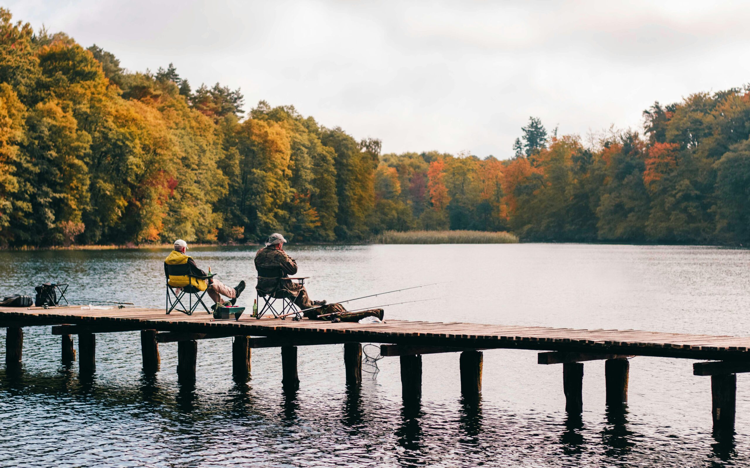 Ritės: top 10 ritės žvejams mėgėjams ir profesionalams